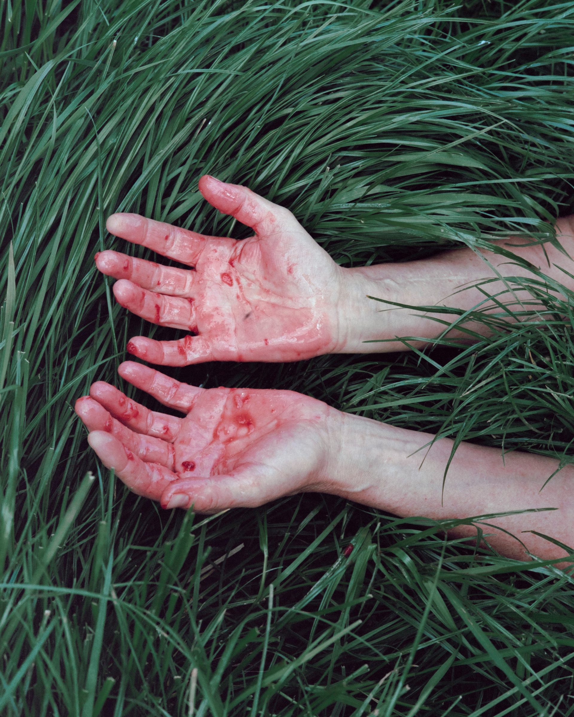 Motiv von Sarah Grethe