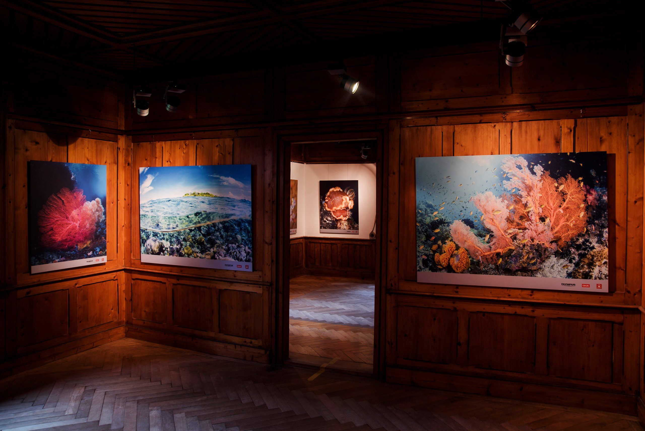 Oberstdorfer Fotogipfel