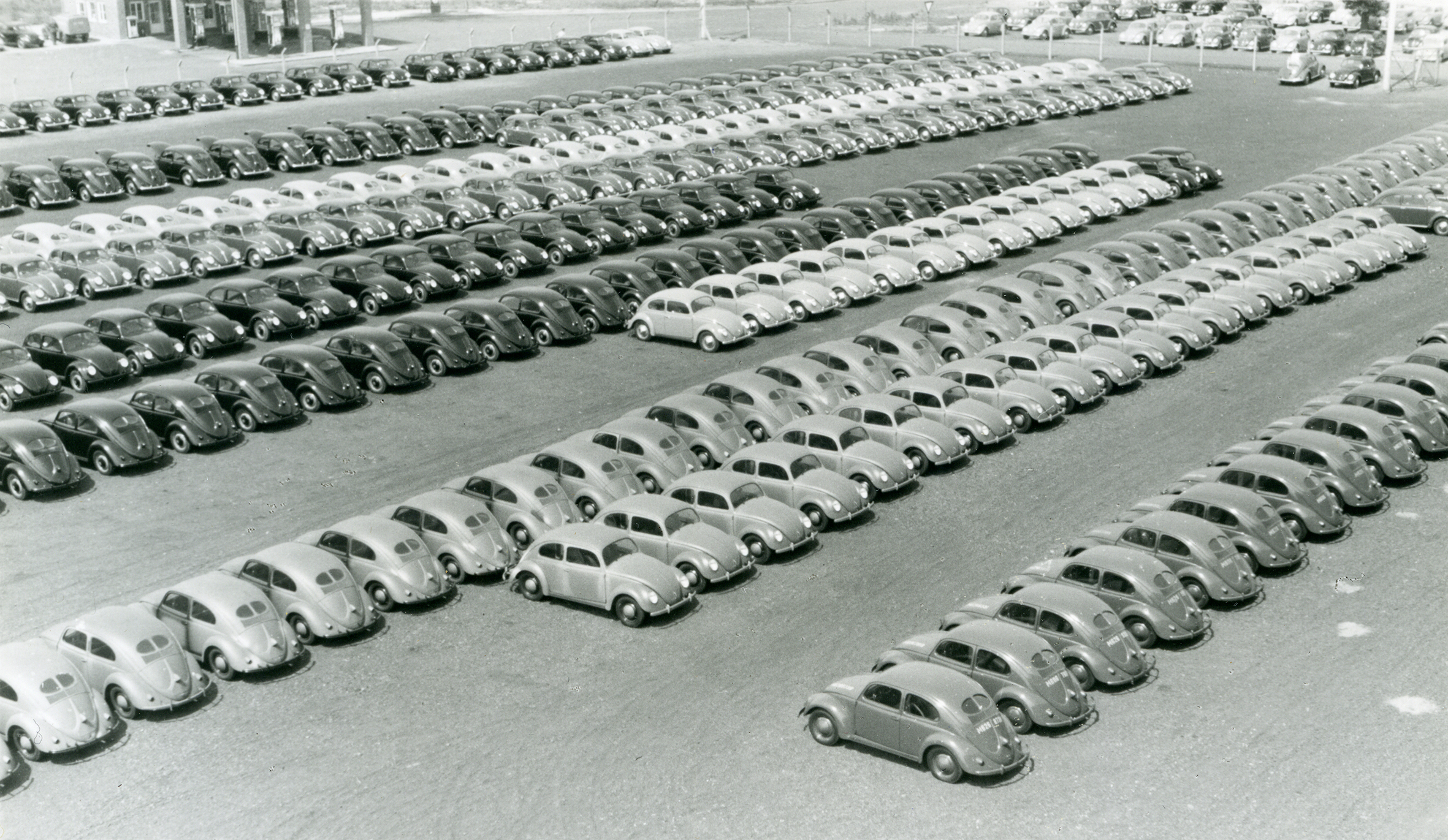 ALFRED EHRHARDT STIFTUNG