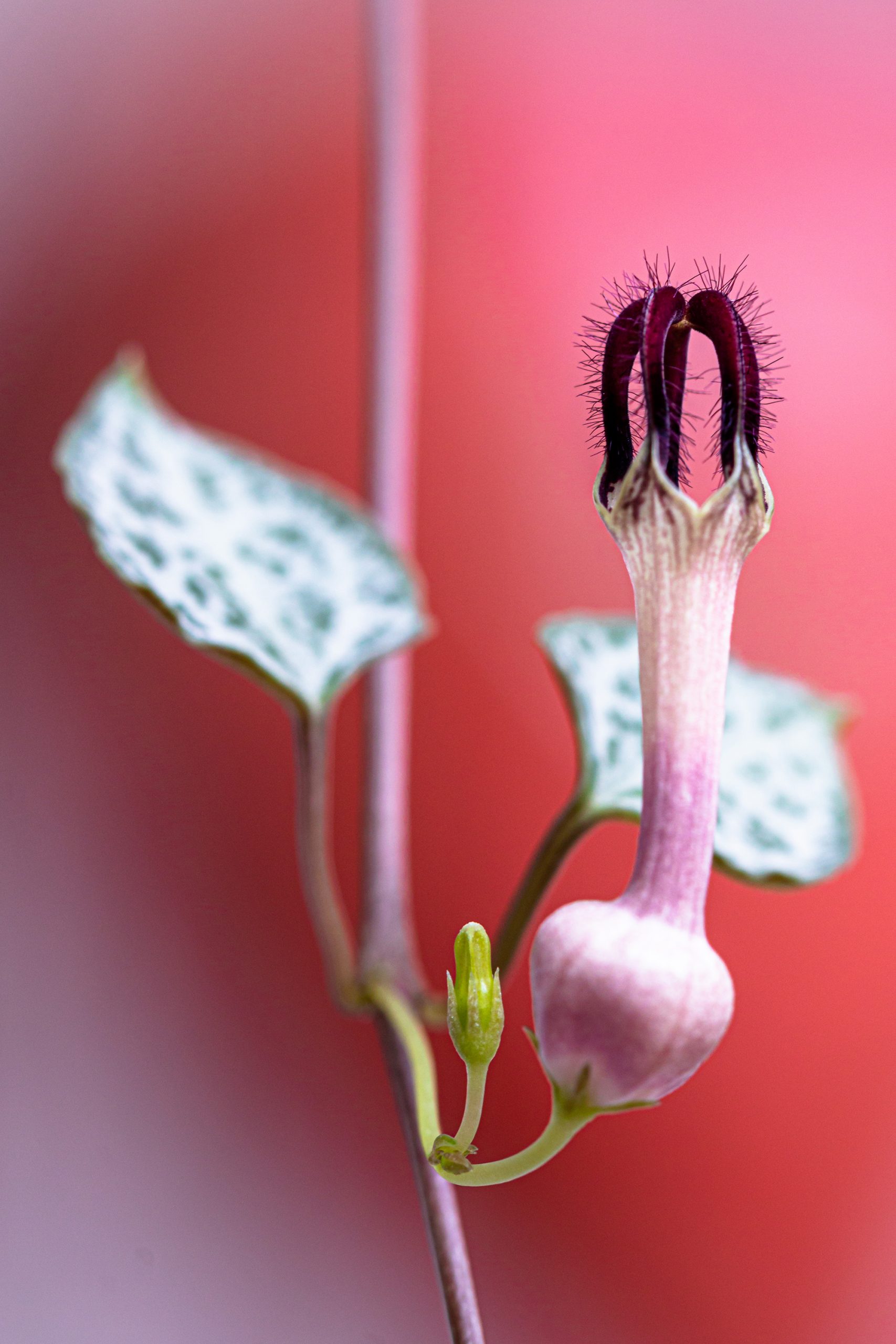 48. Blende-Fotowettbewerb