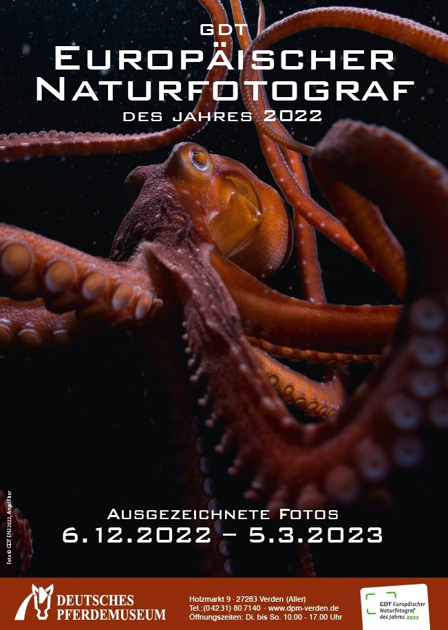 Deutsches Pferdemuseum