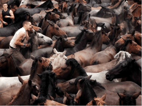 Adão Filipe Fernandes Salgado