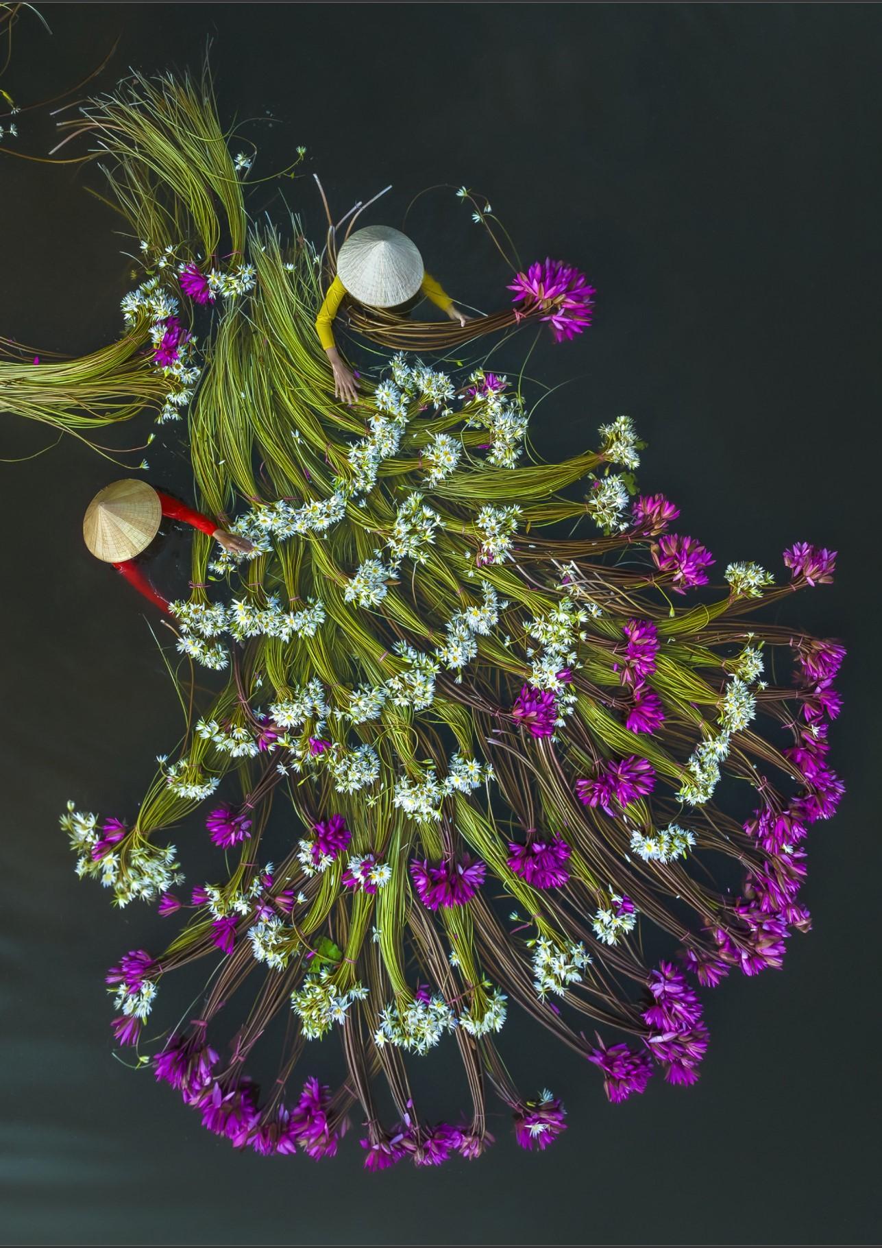 "Floral Dress" von "Khánh Phan