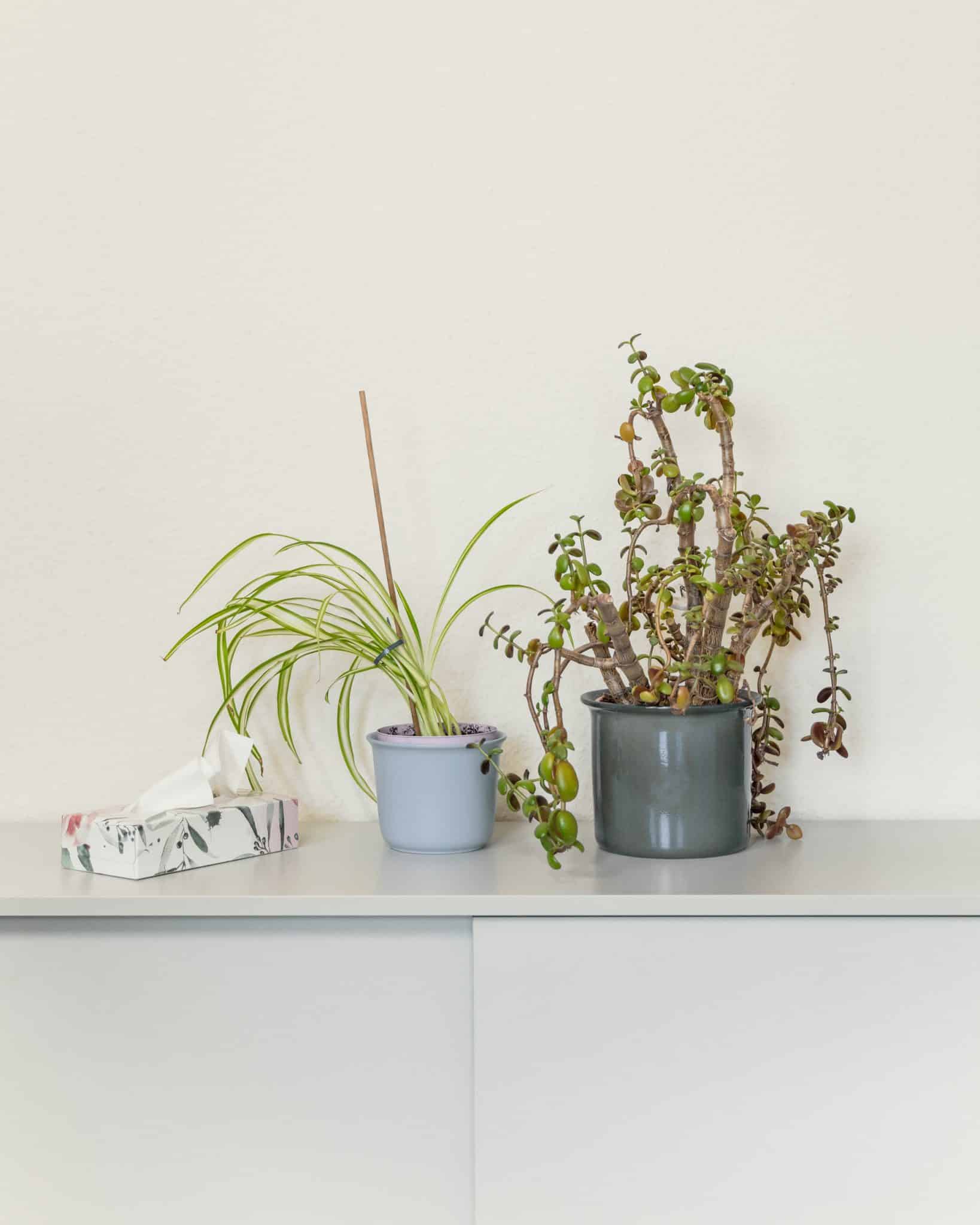 ARMIN-ANETTE © Frederik Busch