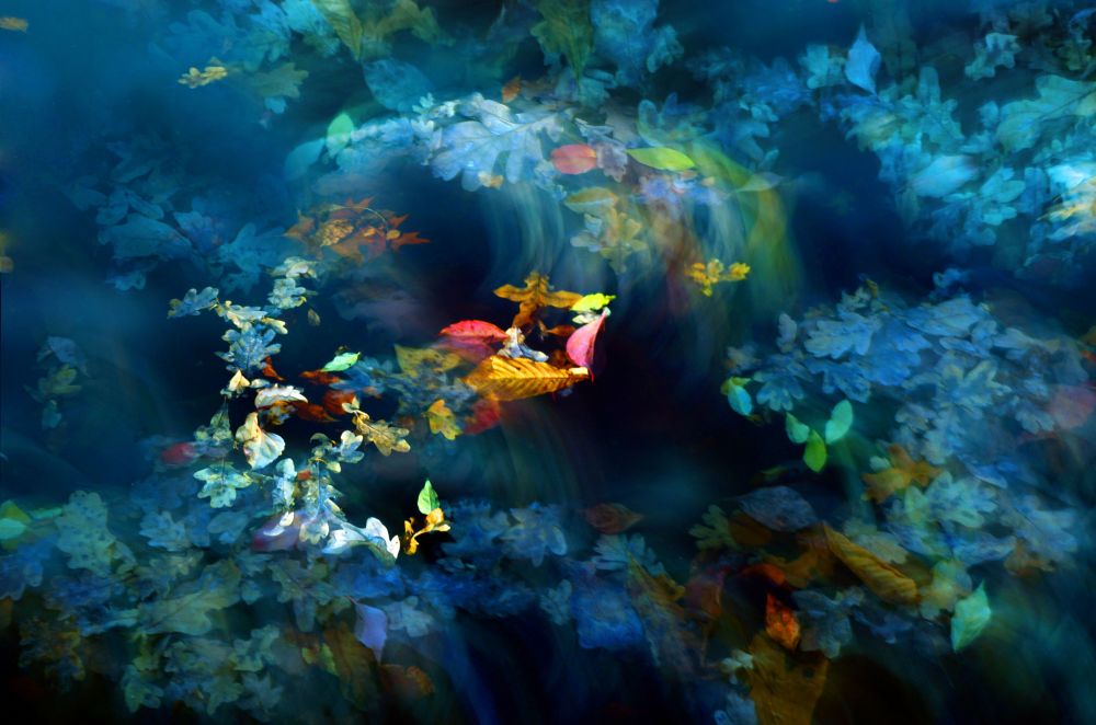 "Brunnen von Sanssouci" von Antje Schulz