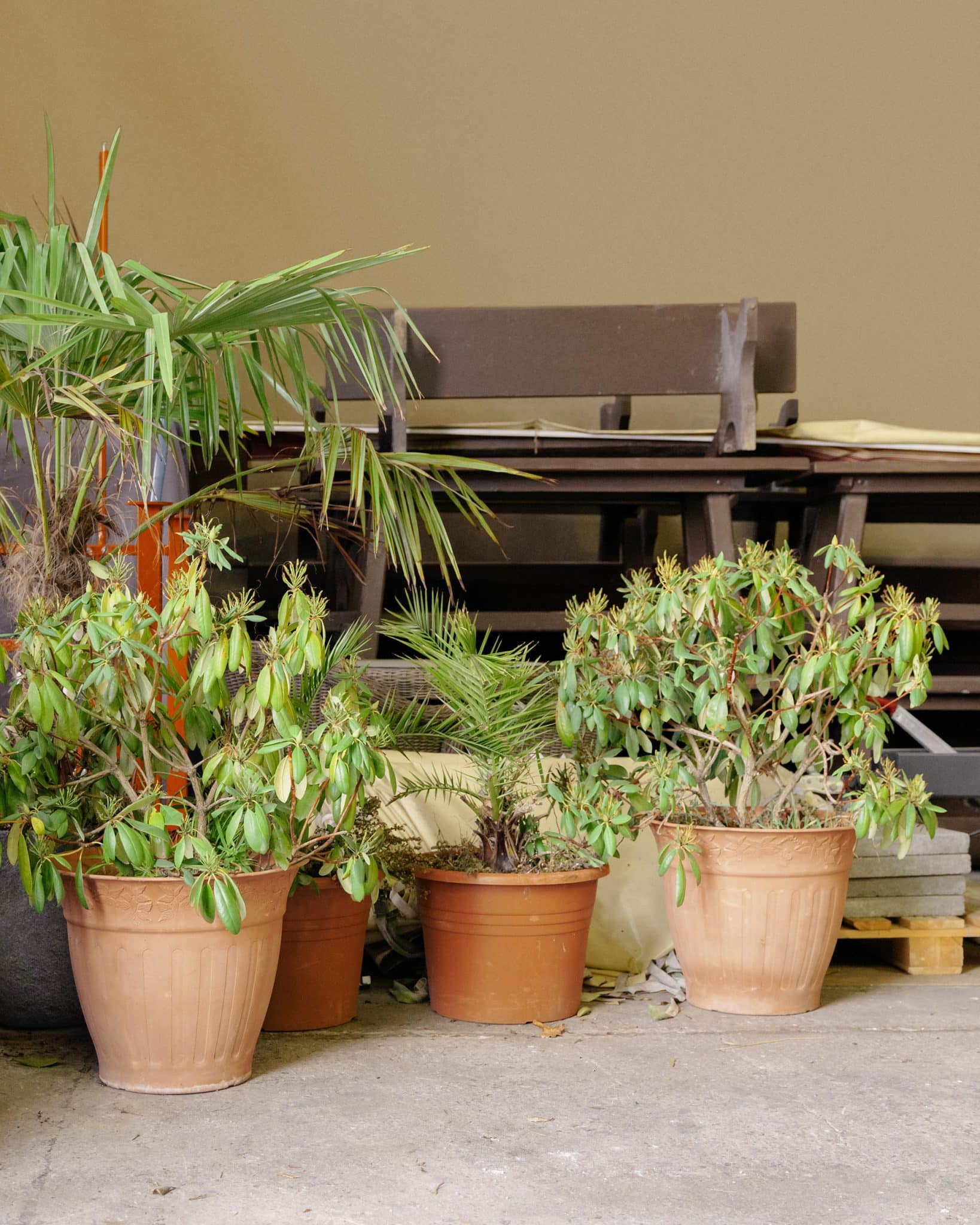 HAUSMEISTER_INNEN © Frederik Busch