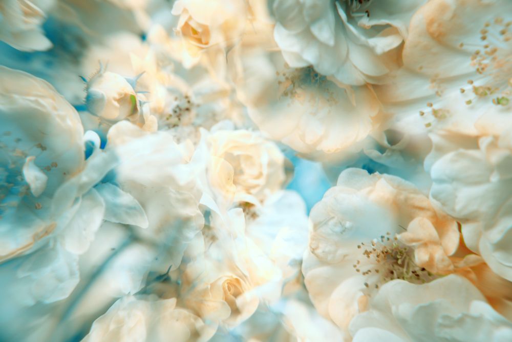 "Paradiesgarten I" von Antje Schulze