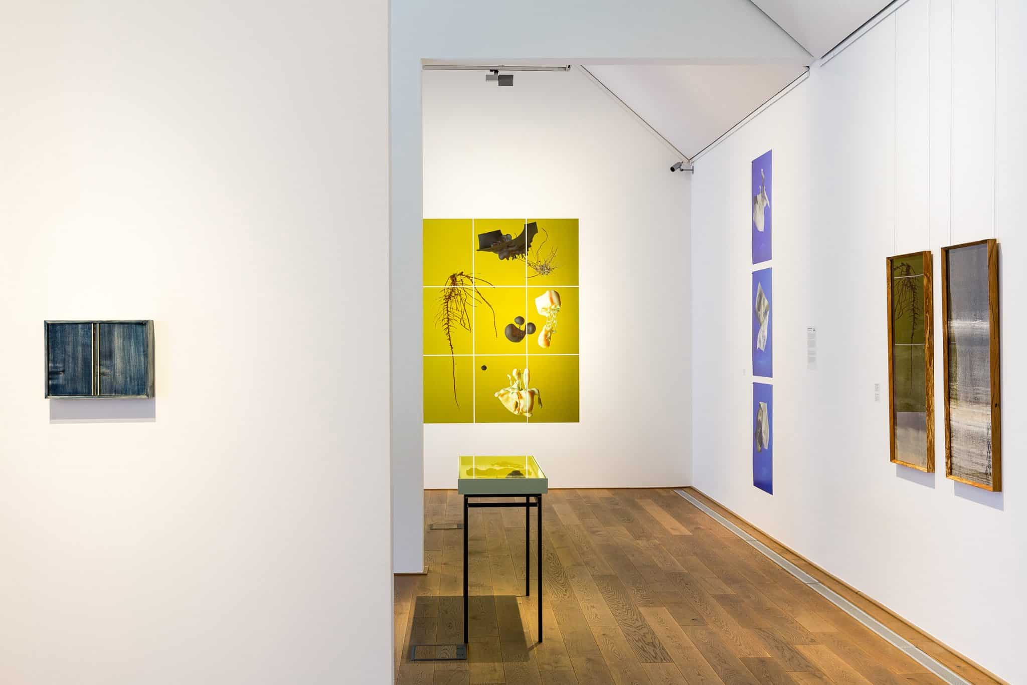 RAW Photo Triennale Worpswede Ausstellungsansicht #NEXT