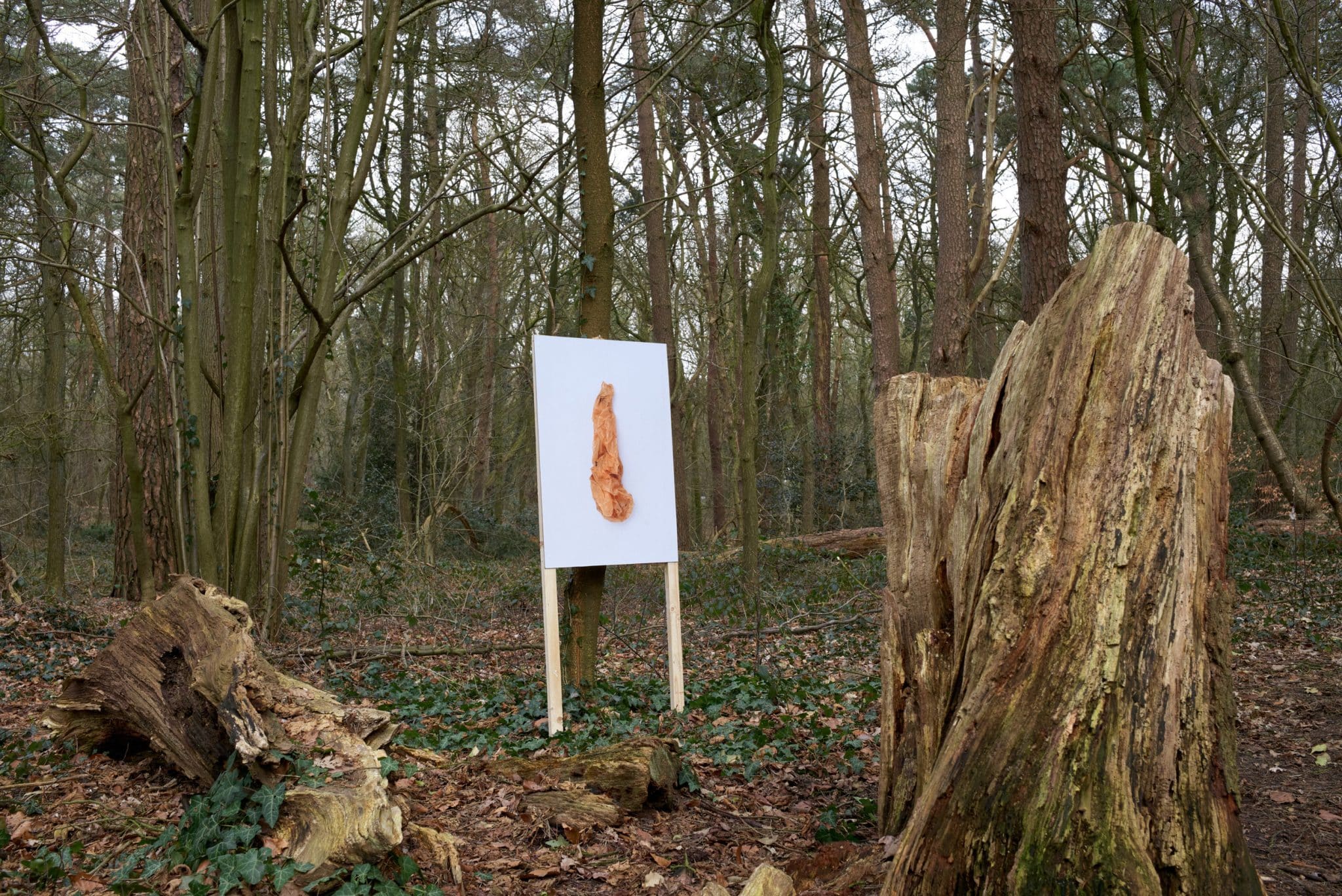 Ausstellungsansicht #PASSAGE mit der Serie »Plastic Bags« von Wolfram Hahn auf dem Waldweg zwischen Marcusheide und Barkenhoff; In Zusammenarbeit mit den Künstlerhäusern Worpswede; Bild: Wolfram Hahn