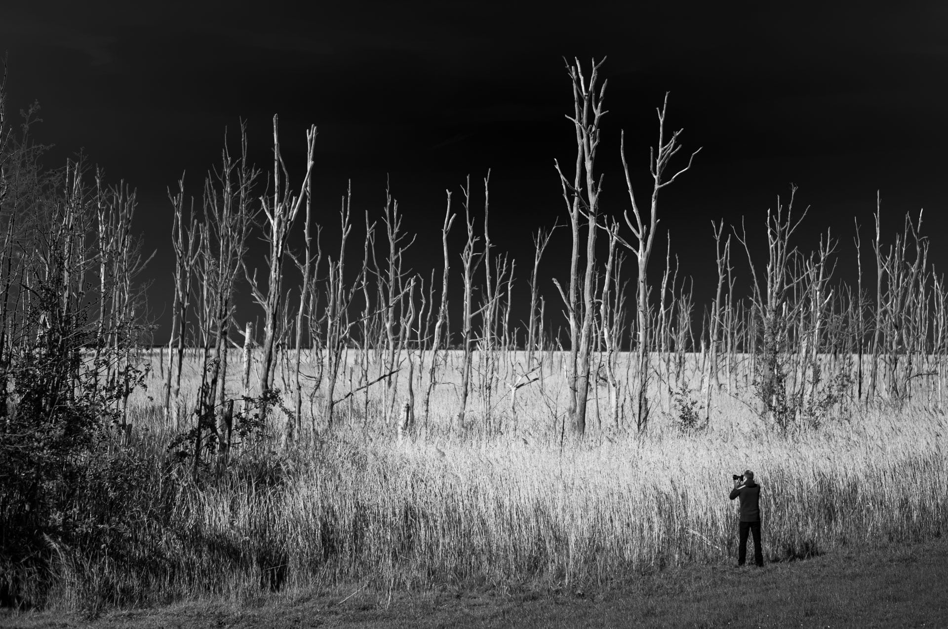 MIT DEM FAHRRAD ZUM OSTERWALD -2023 2