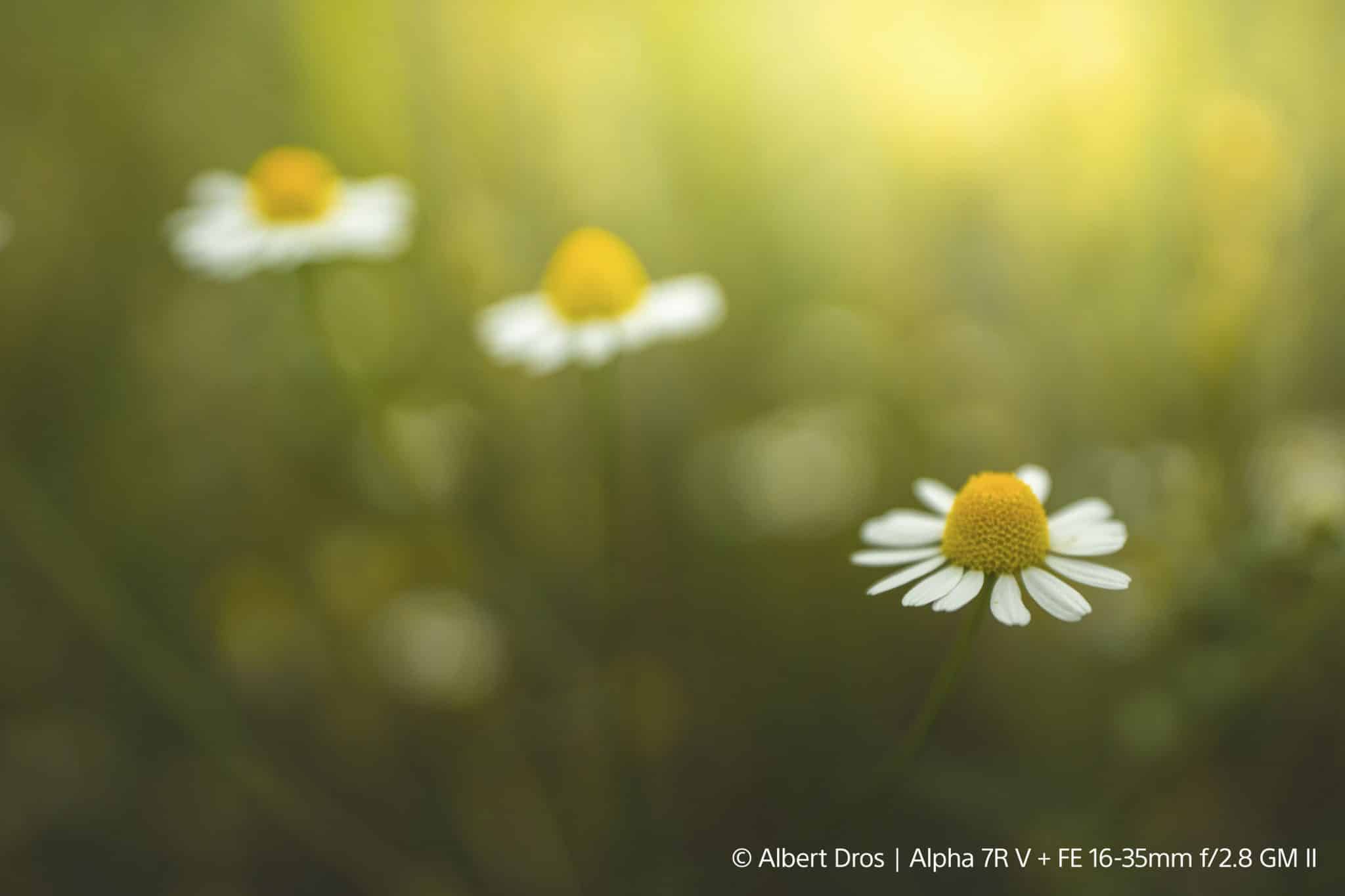 Sony bringt Sony FE 16-35 mm F2.8 GM II Beispielbild 01