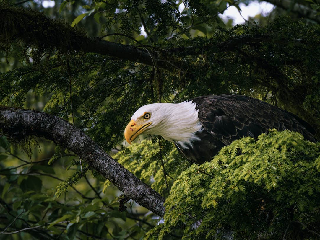 Panasonic LUMIX G9II Praxisfoto 02