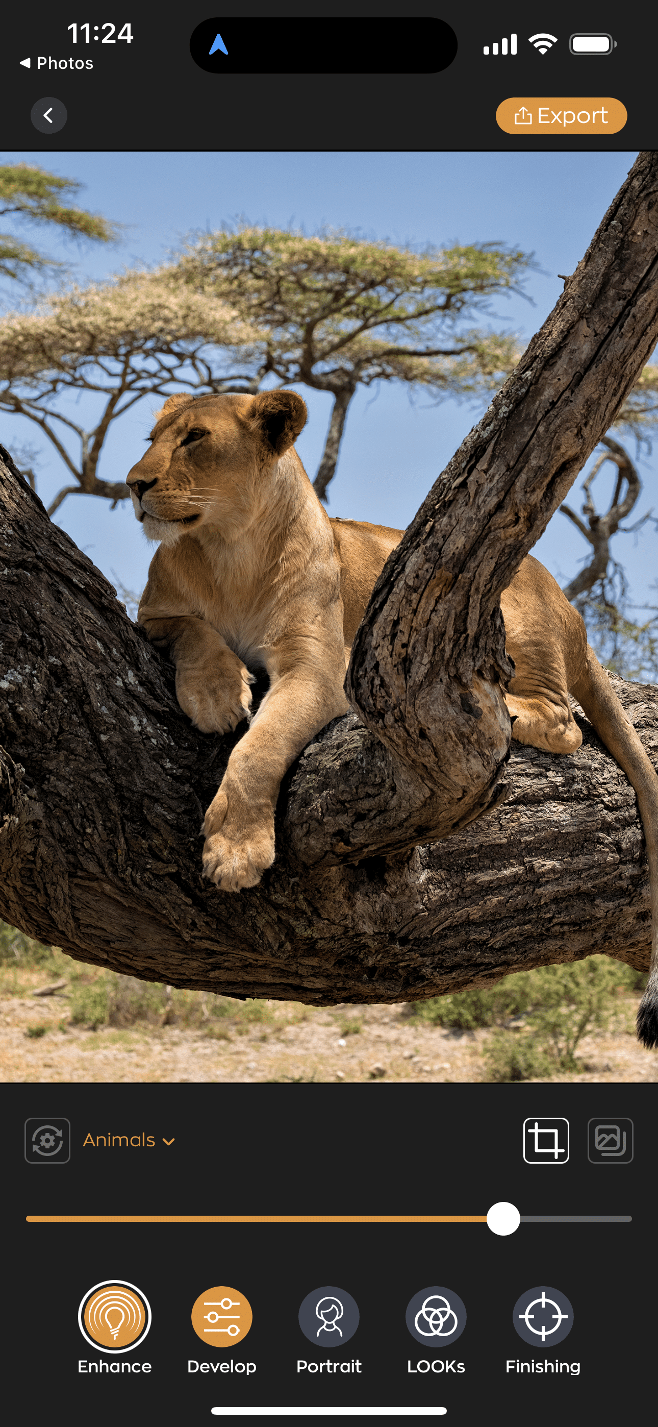 Radiant Photo Mobile Screenshot 04