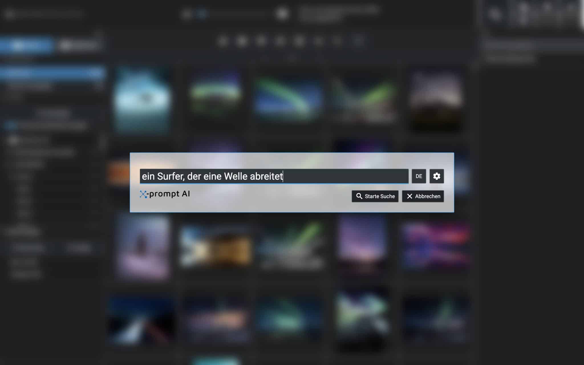 Excire Foto 2024 Freitextsuche