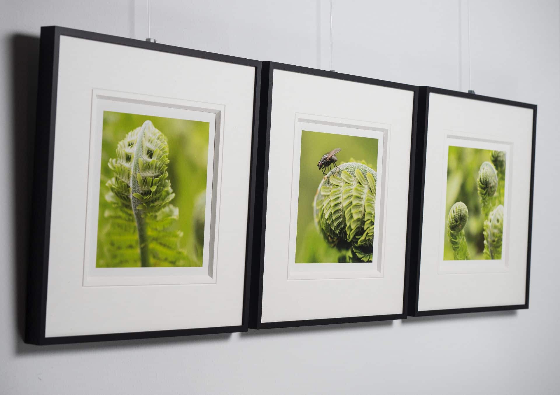 Quadratische Rahmen Rasterhängung