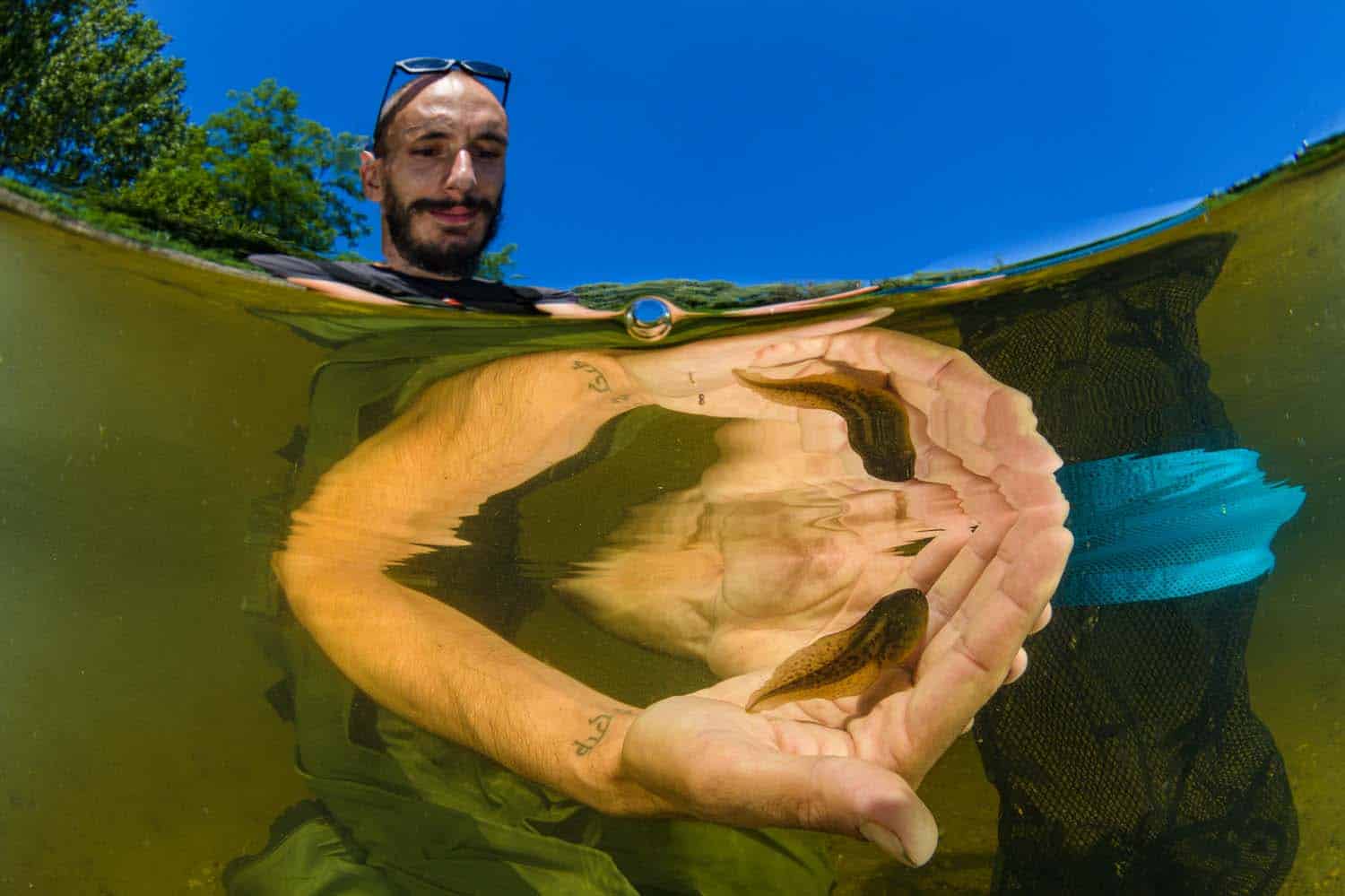 Holding the future von Emanuele Biggi.