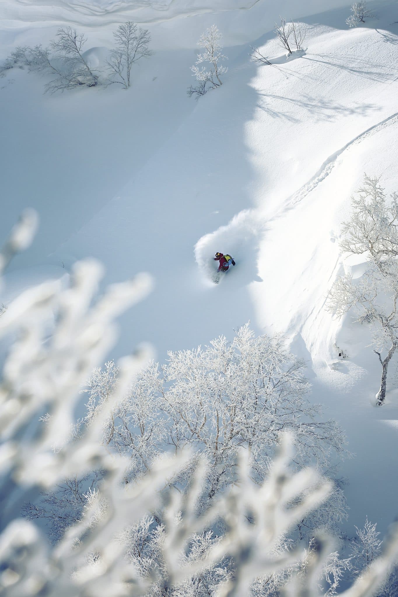 Red Bull Content Pool, Harri Tarvainen