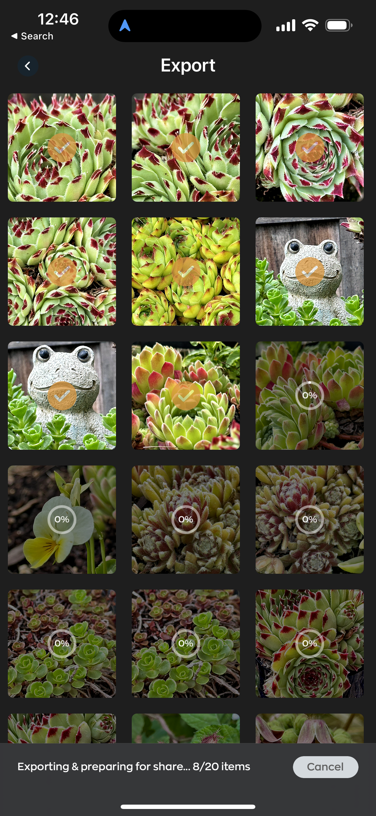 Radiant Photo Mobile für iOS und Android bietet eine leistungsstarke Stapelverarbeitung. Direkt auf dem Smartphone. In der Gratisversion ist diese auf fünf Aufnahmen begrenzt.