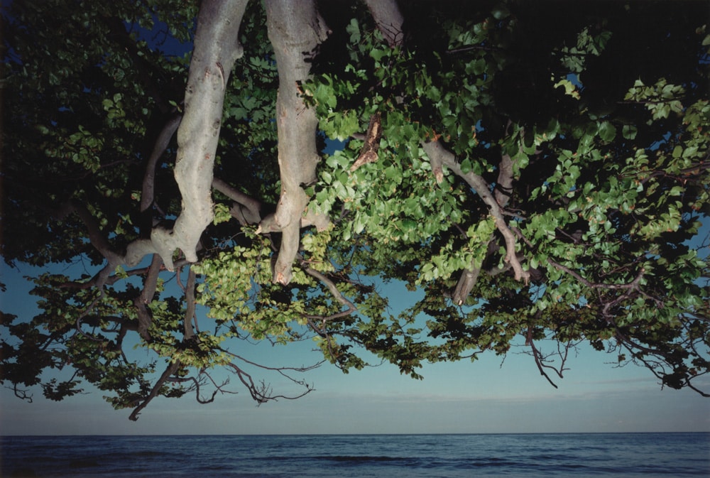 Werner Mahler, Landschaft 2000 © Werner Mahler