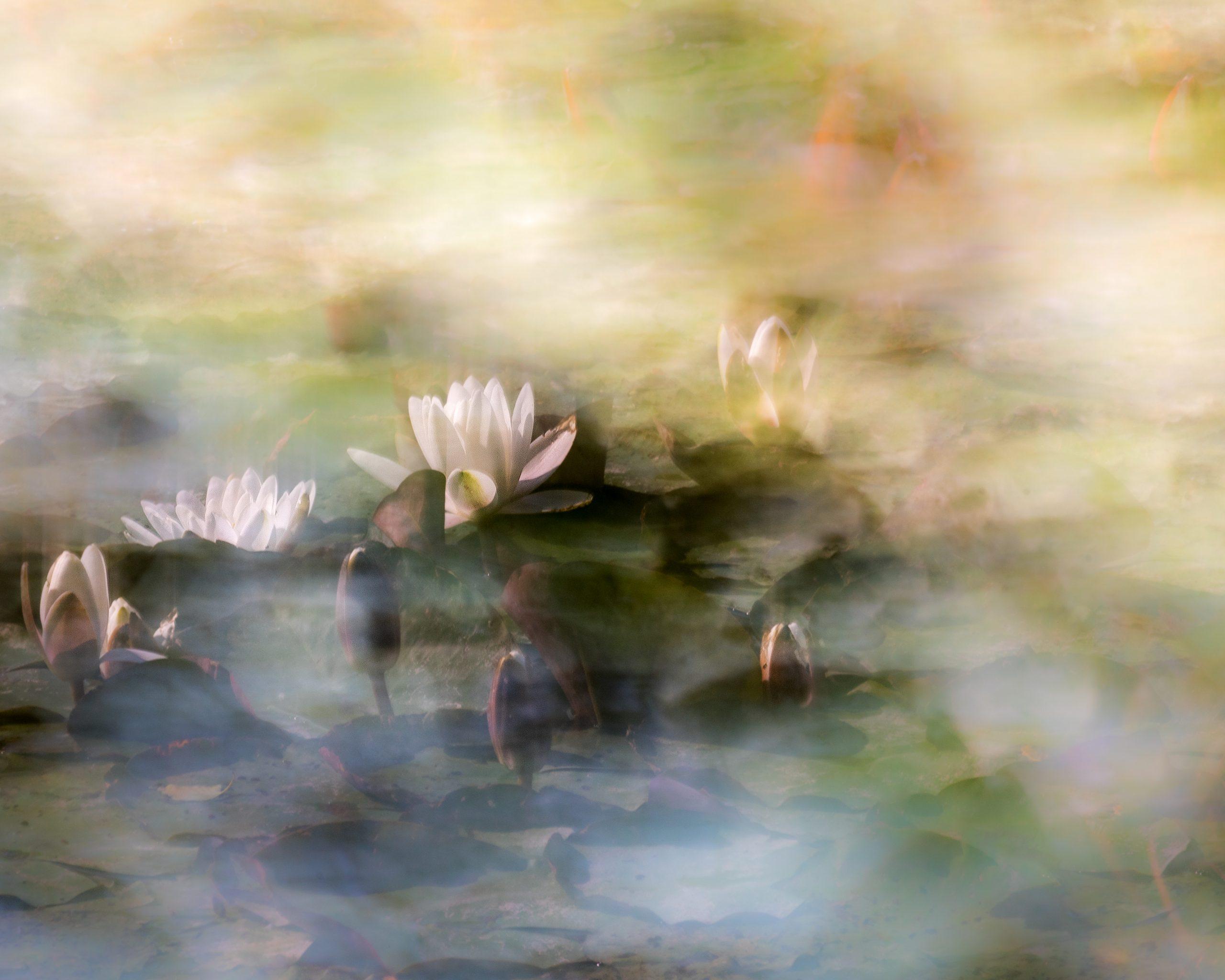 Mai: „Träumerisch“ von Alfred Kleiner