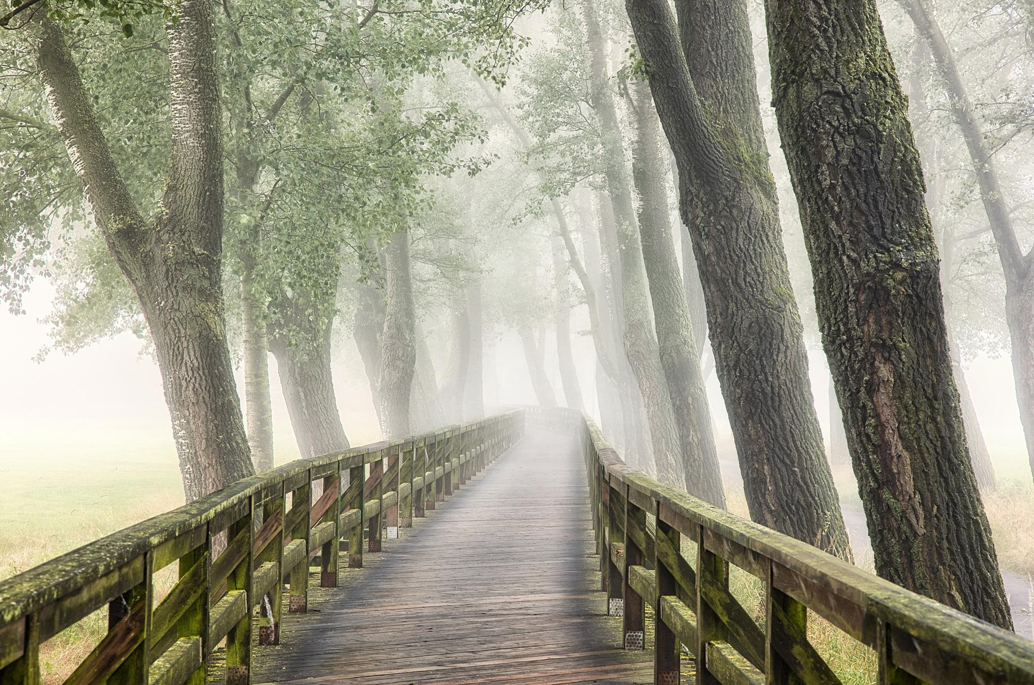 November: „Willkommen im Nebelland“ von Norbert Fritz