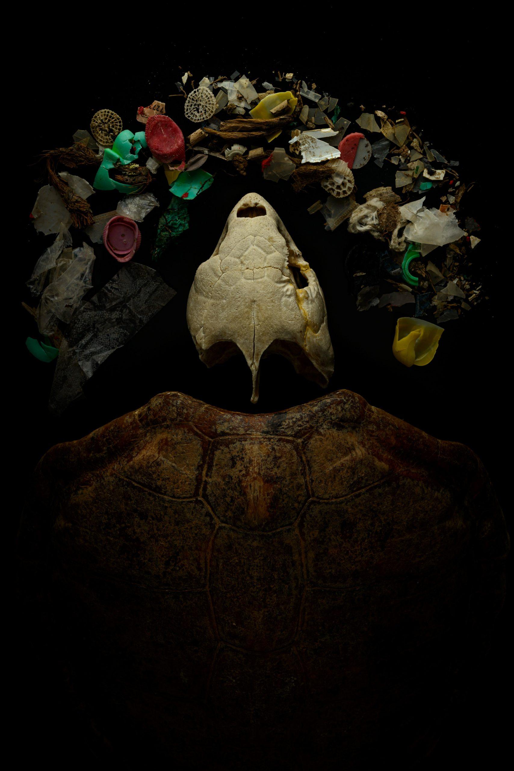 Mensch & Natur: „Verloren im Meer“ von Angel Fitor (Spanien)