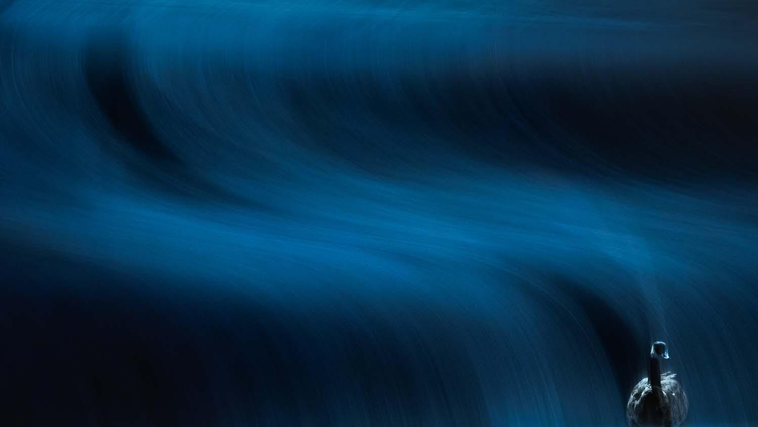 Jugend 15-17 Jahre: „Wave“ von Luca Lorenz (Deutschland)