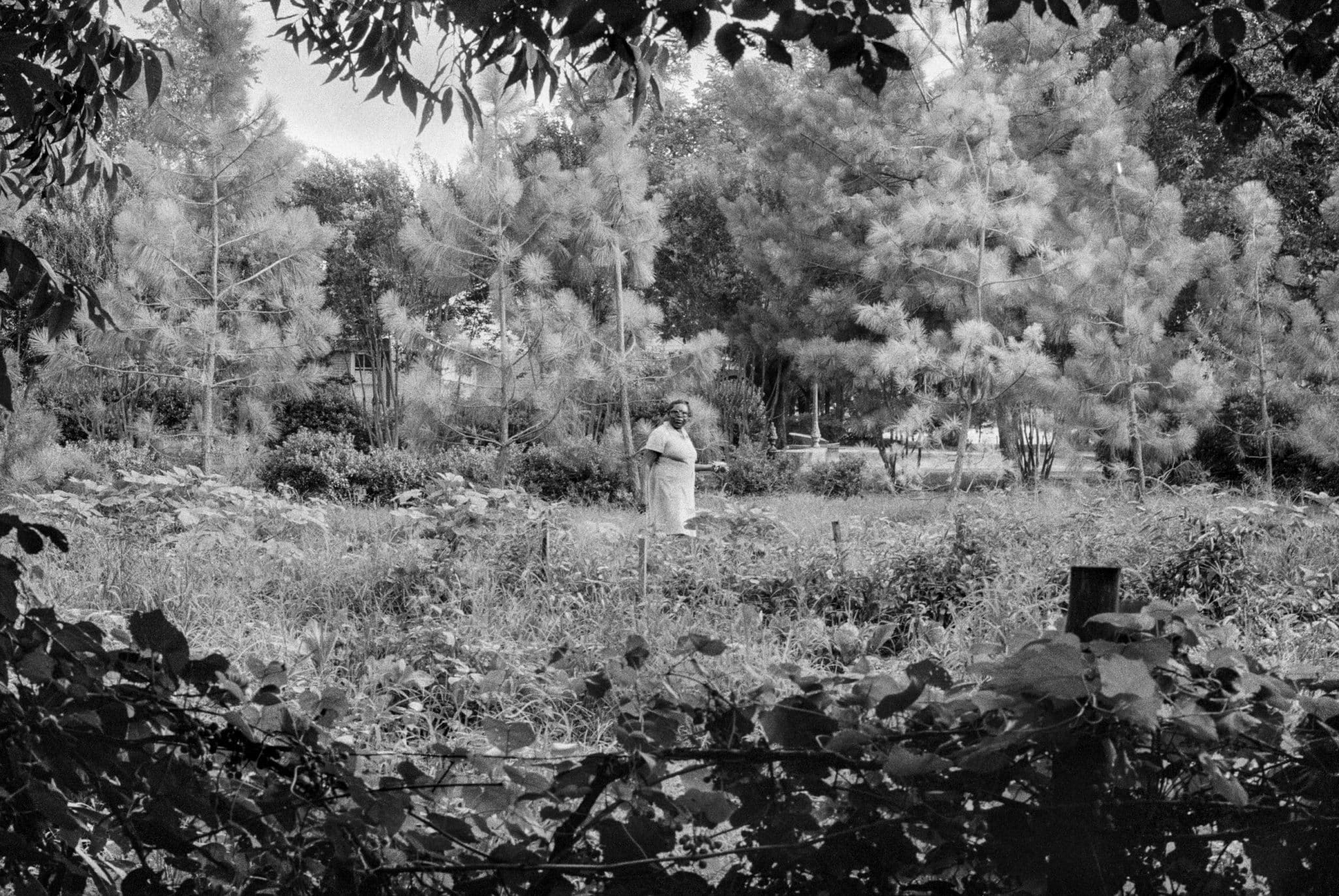 Cully in Garden, 1980 © Lisa McCord