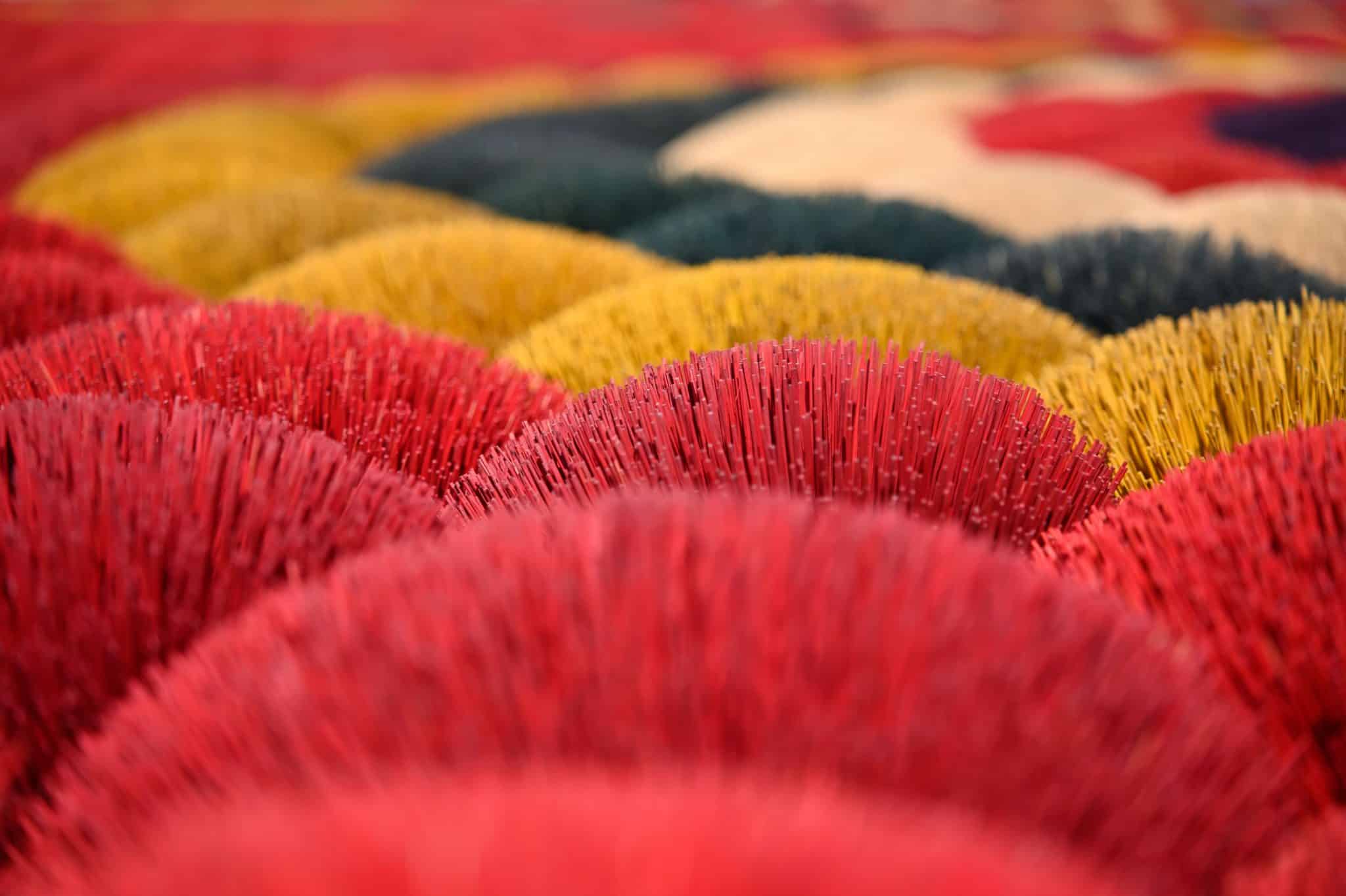 Nahaufnahme von Pinseln/Büschen