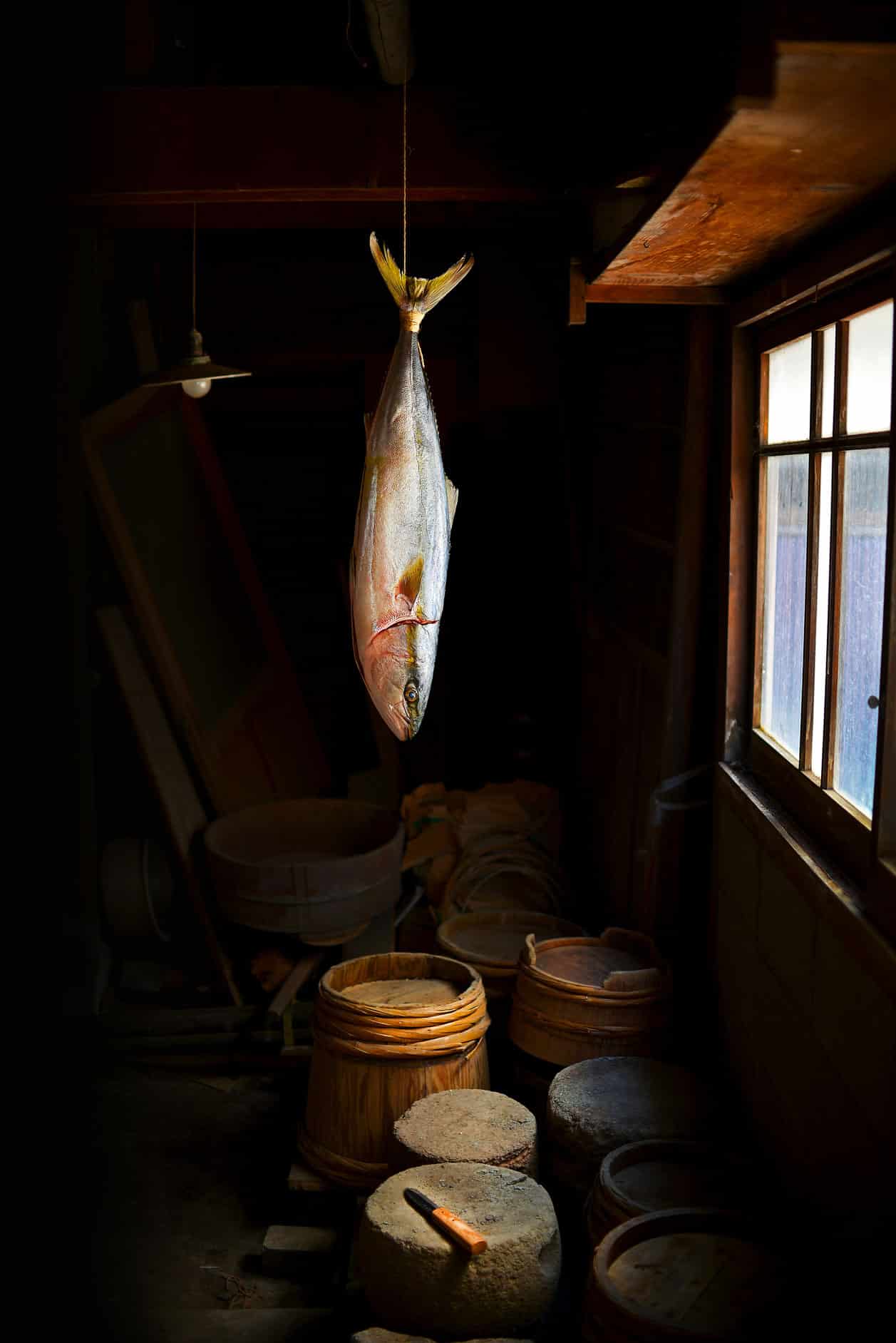 Food Influencer: „Hanging Buri (Yellowtail)“ von Matteo Alberti (Japan)