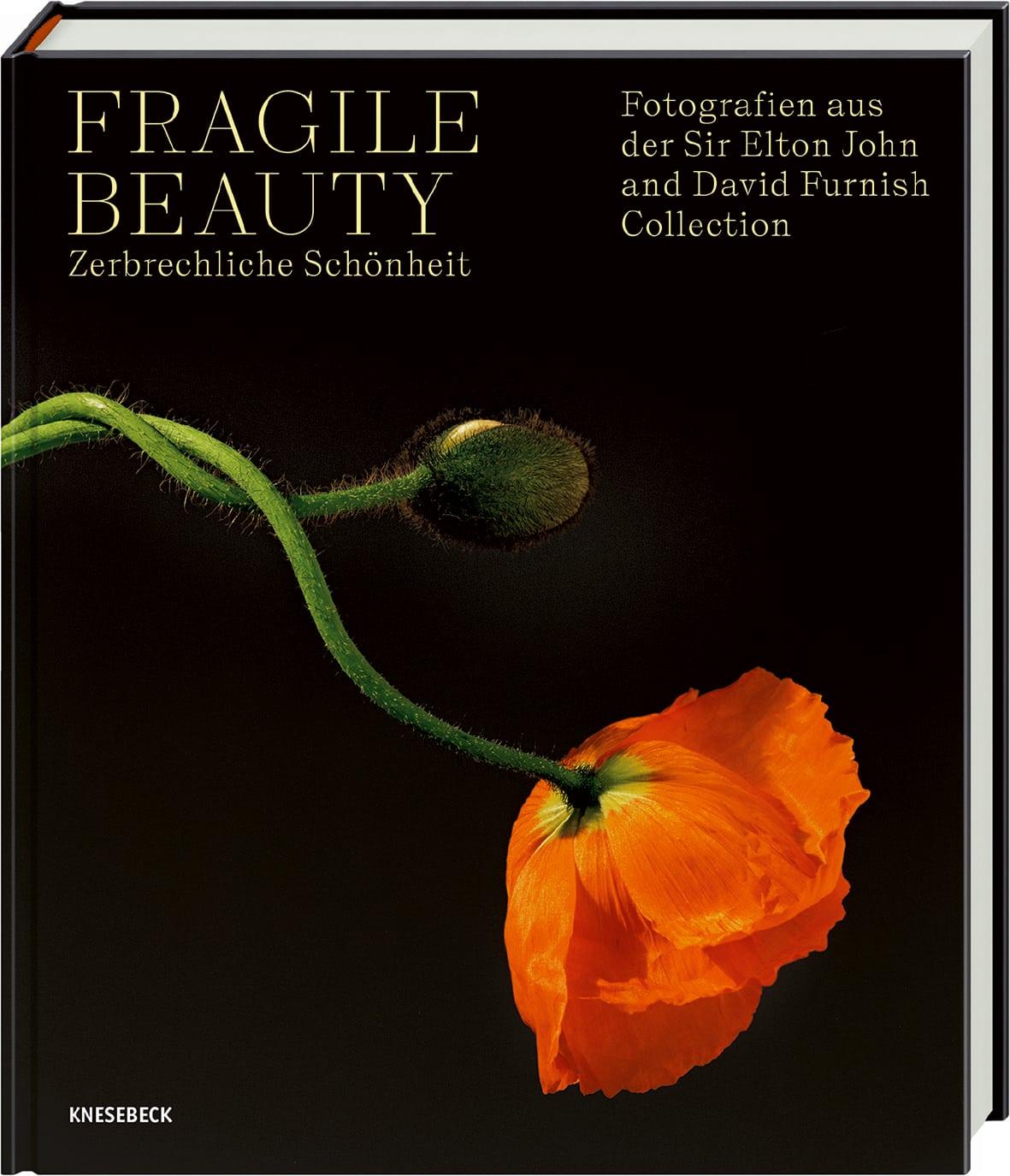 Fragile Beauty – zerbrechliche Schönheit