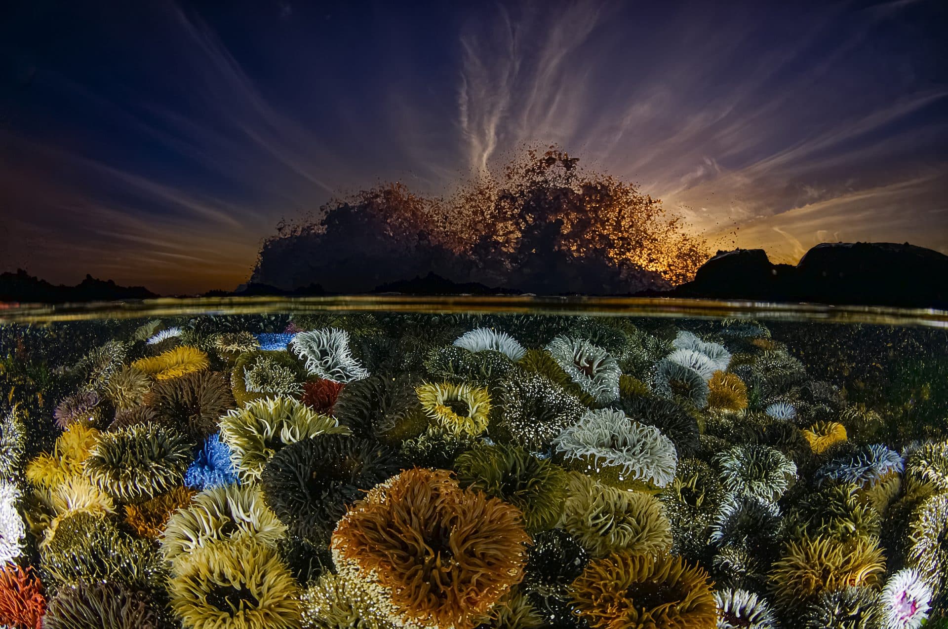 Landscapes, Waterscapes & Flora: „In Celebration“ von Geo Cloete