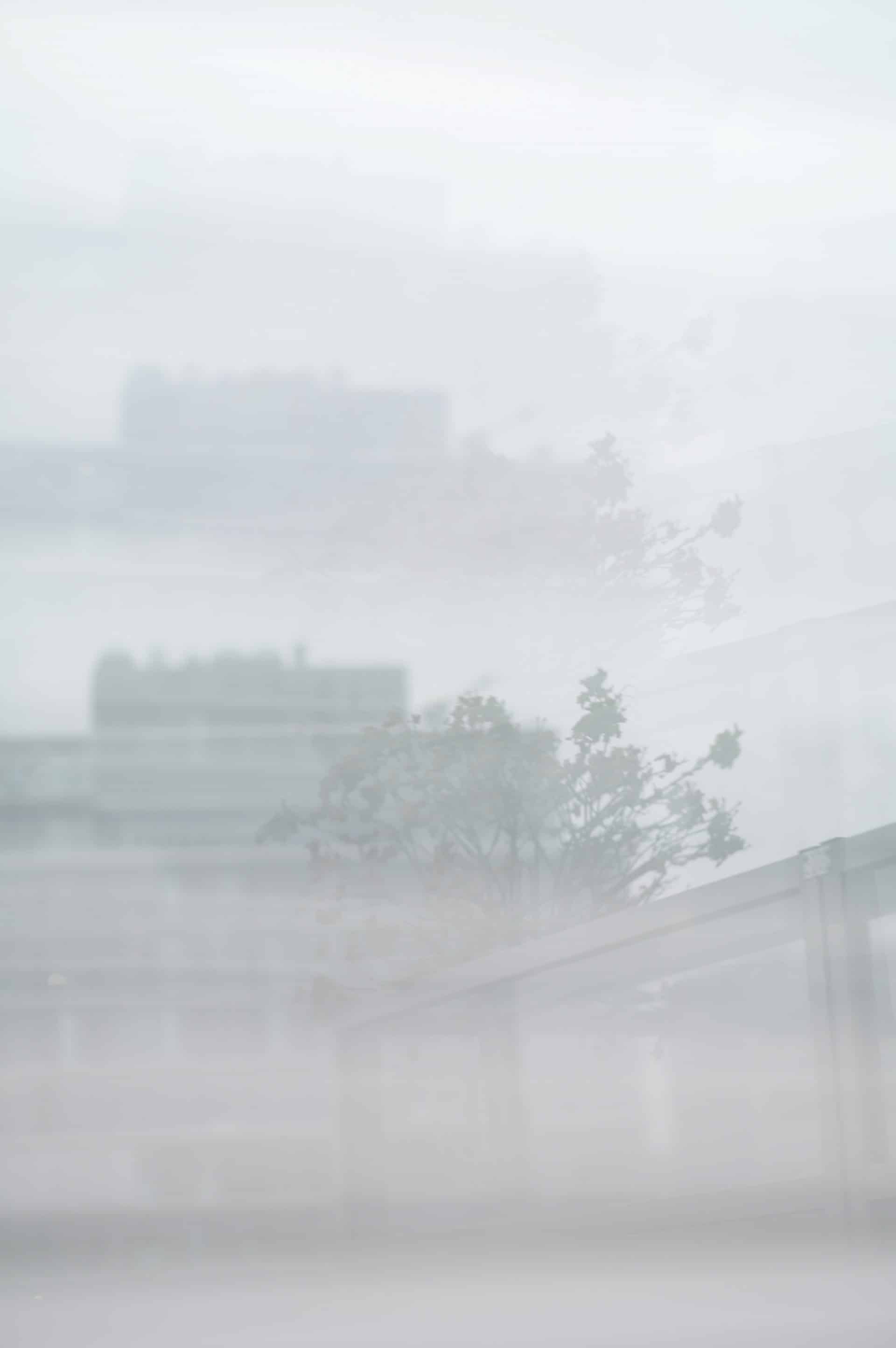 Foto "All the stories 170" aus der Serie Coexist von Franziska Stünkel