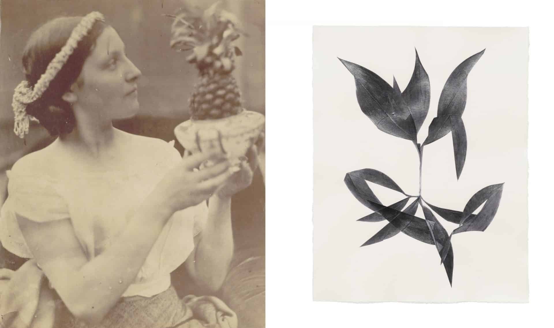 Abb. links: Julia Margaret Cameron, Junge Frau mit Ananas, um 1867 © Sammlung Museum für Photographie Braunschweig / Depositum Stadtarchiv Braunschweig; Abb. rechts: Frauke Dannert, Pavillon, 2017, Papiercollage © Frauke Dannert, Foto: Ben Hermanni, Lemgo