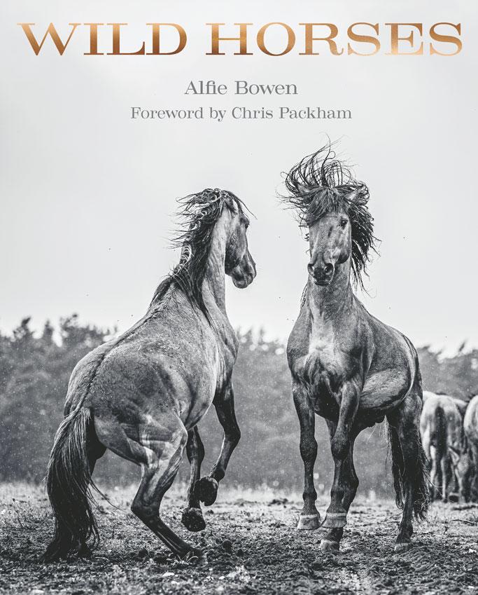 Wild Horses Cover