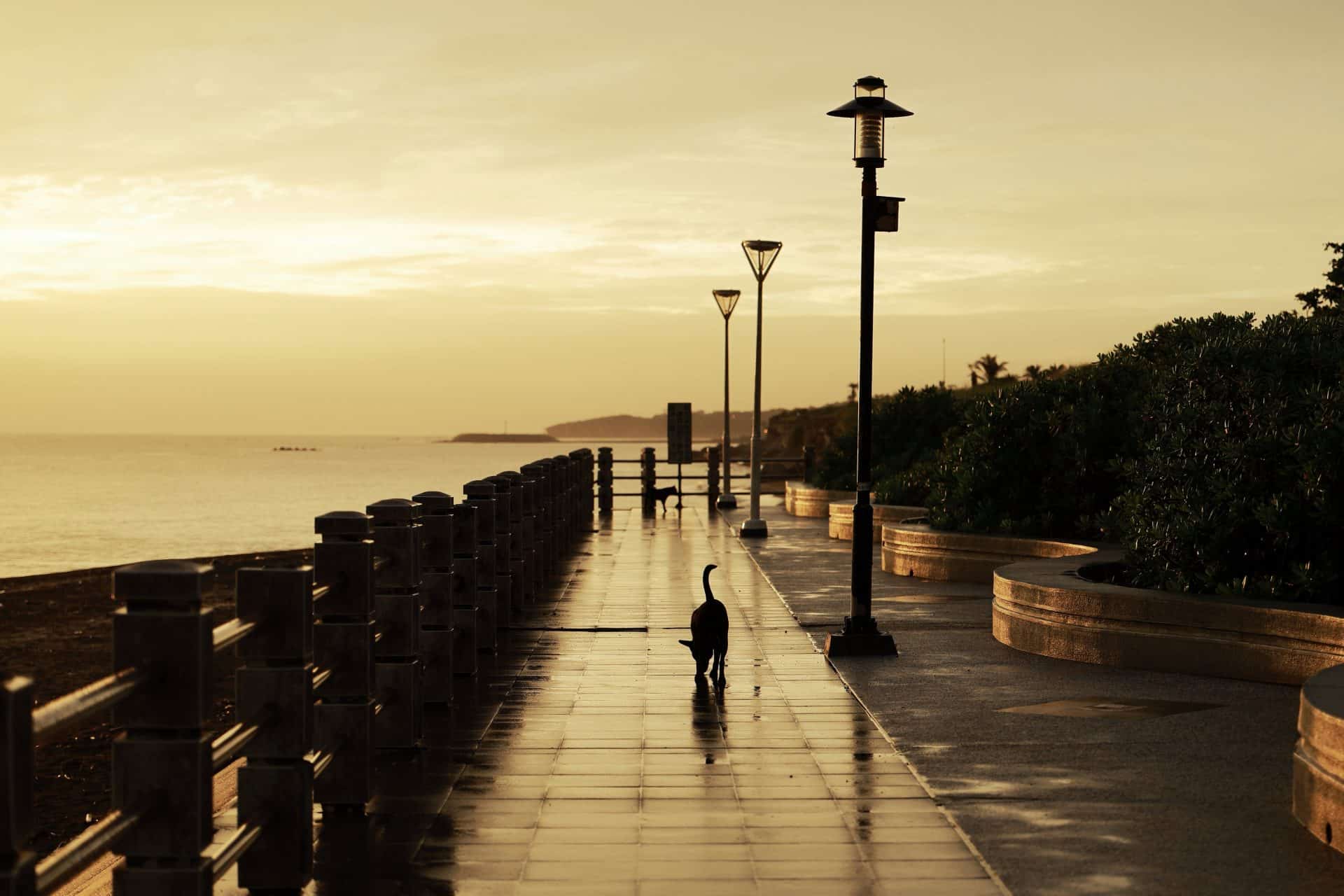 Hafenkai bei Sonnenuntergang