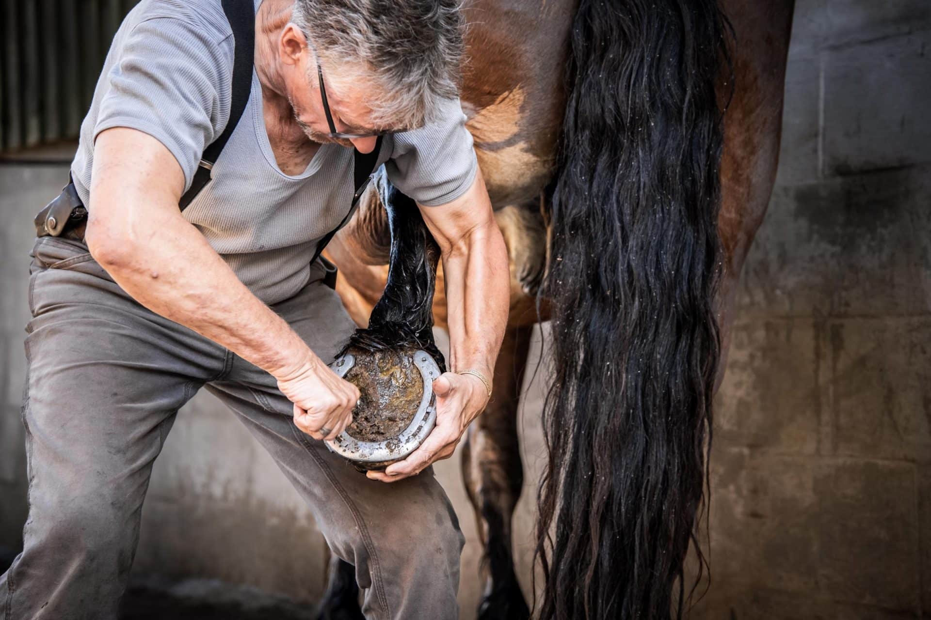 Pferderücker mit Pferd im Wald
