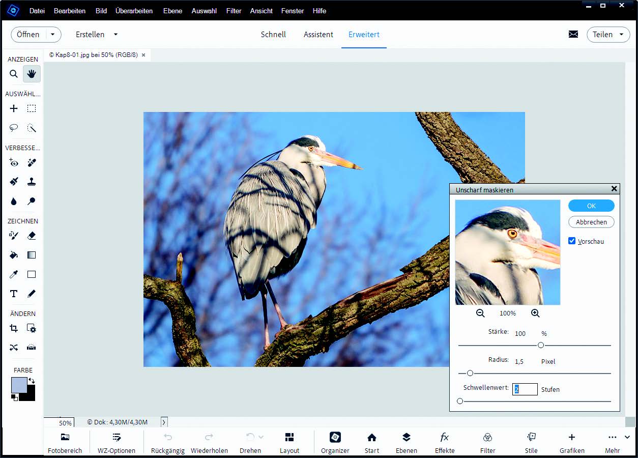 Screenshot mit einem Reiher in Photoshop Elements 2025