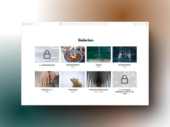 Neues Shopdesign Pictrs - Beispiel Galerieübersicht